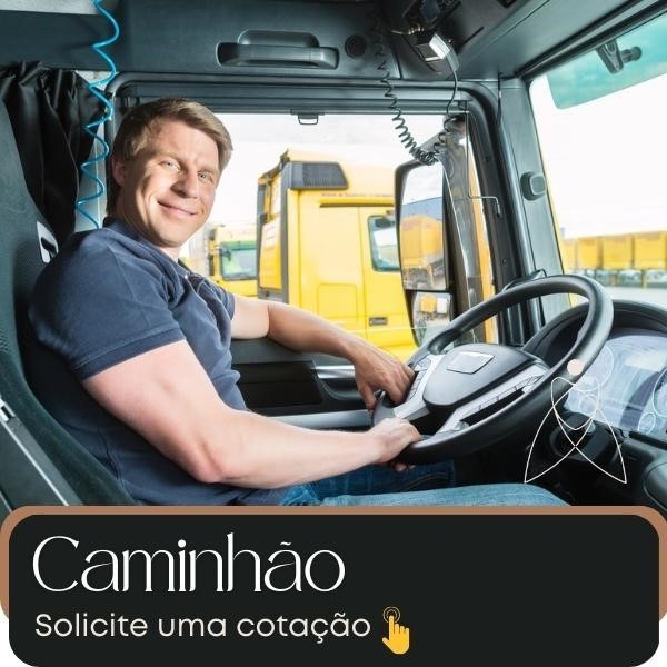 Seguro Caminhão